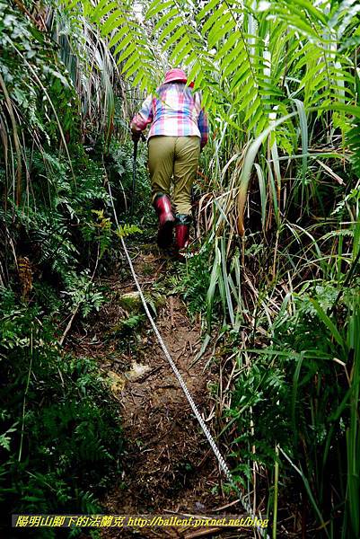 P1640651.jpg P1640651.jpg