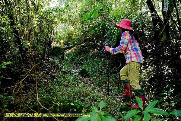 P1640652.jpg P1640652.jpg