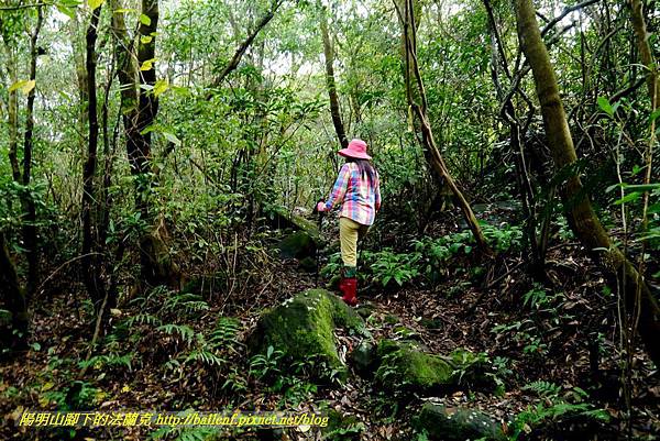 P1640654.jpg P1640654.jpg