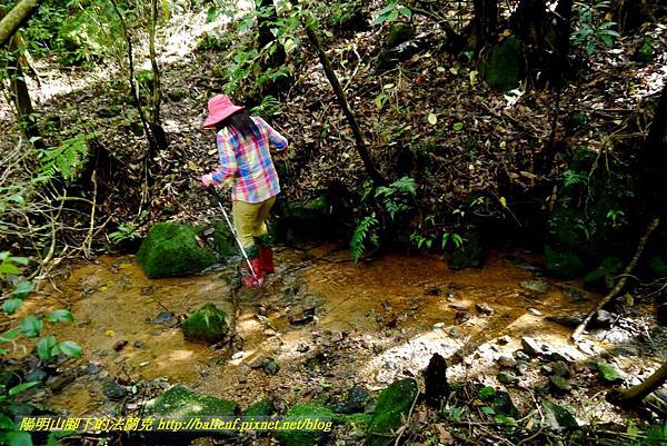 P1640653.jpg P1640653.jpg