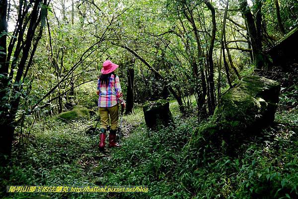 P1640655.jpg P1640655.jpg