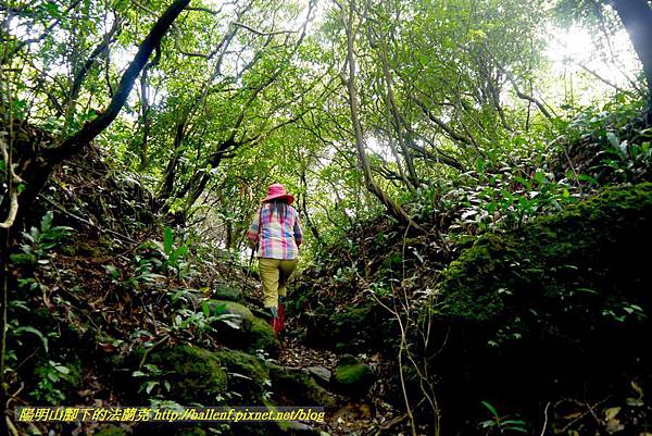 P1640657.jpg P1640657.jpg