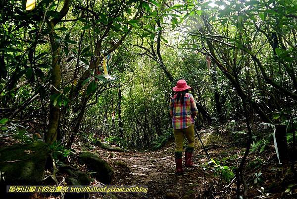 P1640658.jpg P1640658.jpg