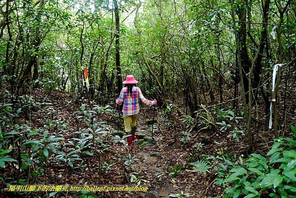 P1640659.jpg P1640659.jpg