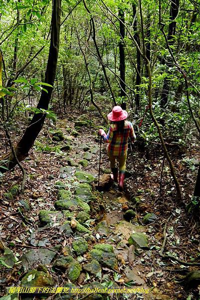 P1640661.jpg P1640661.jpg