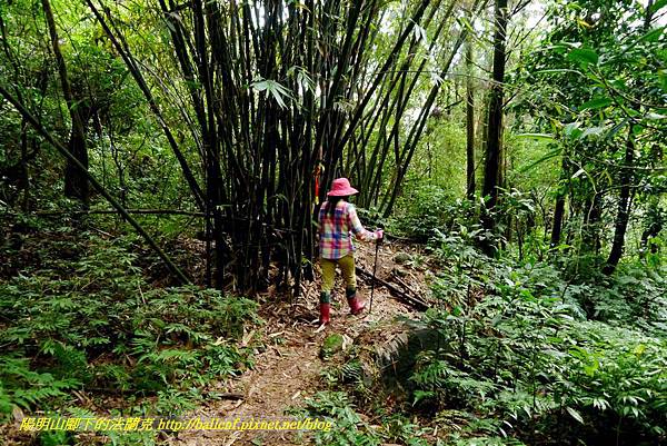 P1640662.jpg P1640662.jpg