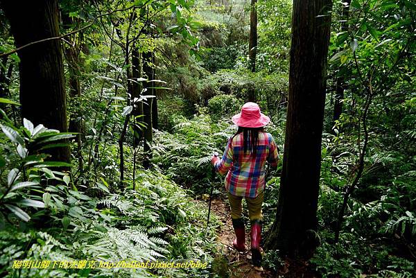 P1640663.jpg P1640663.jpg