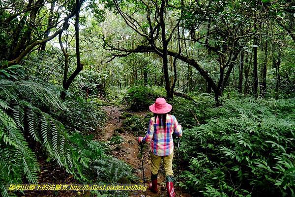 P1640665.jpg P1640665.jpg