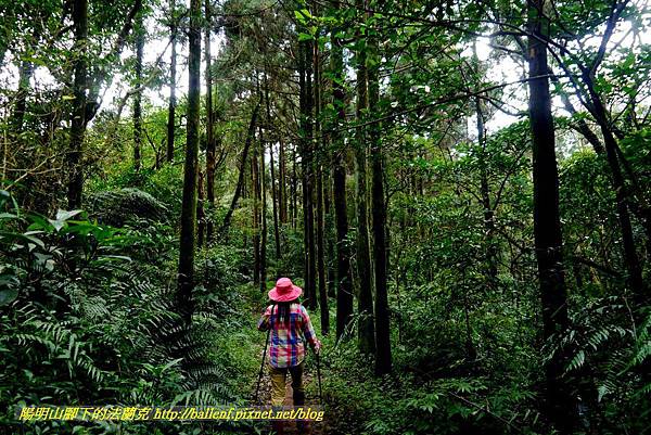 P1640666.jpg P1640666.jpg