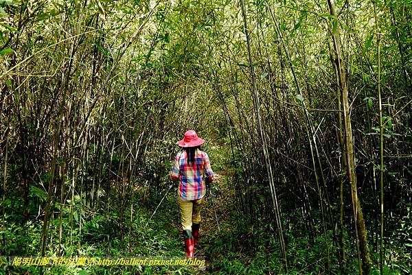 P1640669.jpg P1640669.jpg