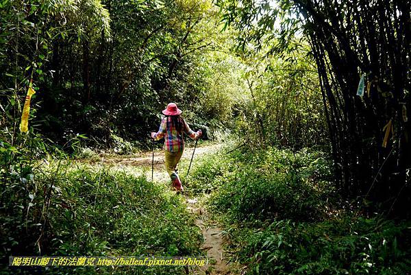 P1640671.jpg P1640671.jpg