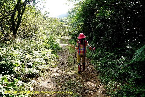 P1640673.jpg P1640673.jpg