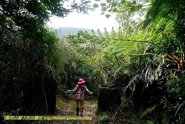 P1640674.jpg P1640674.jpg