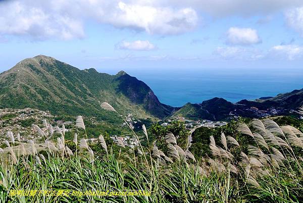 P1640706.jpg P1640706.jpg