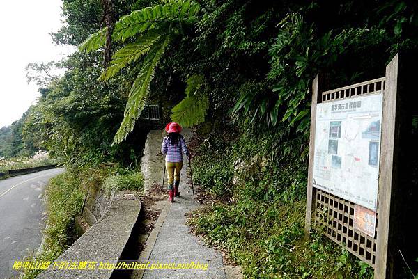 P1640710.jpg P1640710.jpg