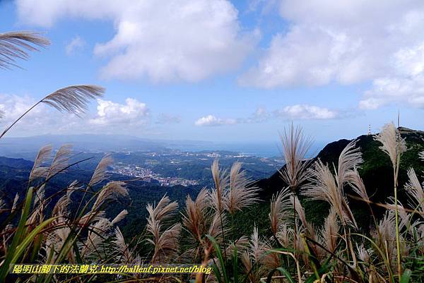 P1640742.jpg P1640742.jpg