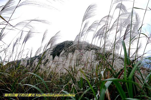 P1640743.jpg P1640743.jpg