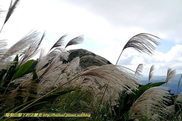 P1640747.jpg P1640747.jpg