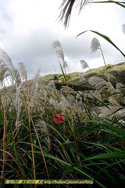 P1640750.jpg P1640750.jpg