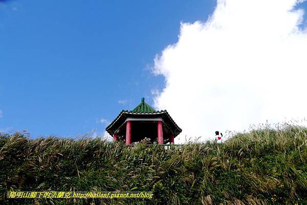P1640754.jpg P1640754.jpg