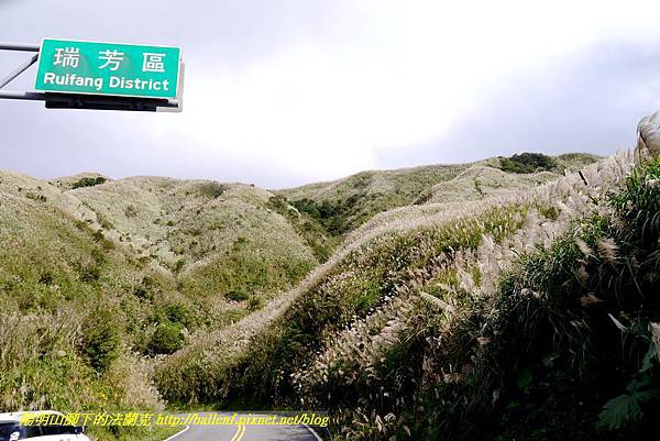 P1640759.jpg P1640759.jpg