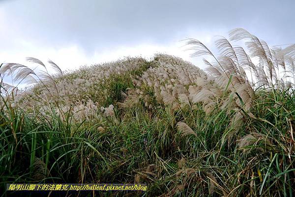 P1640780.jpg P1640780.jpg