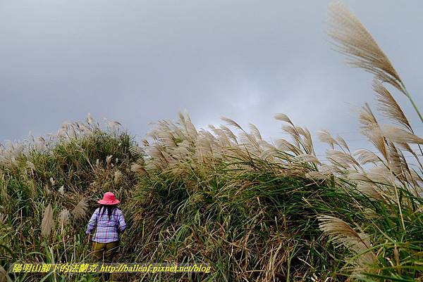 P1640782.jpg P1640782.jpg