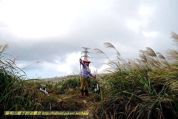 P1640783.jpg P1640783.jpg