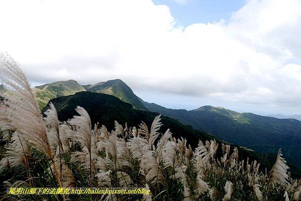 P1640795.jpg P1640795.jpg