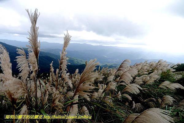 P1640796.jpg P1640796.jpg