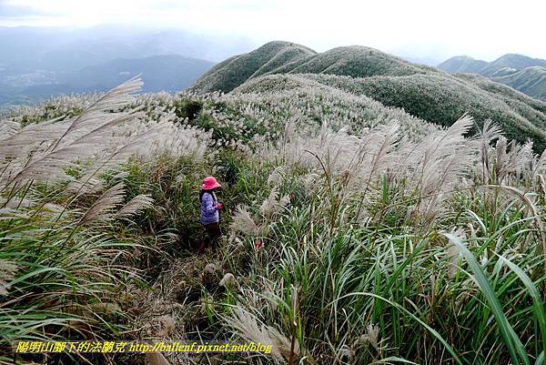 P1640805.jpg P1640805.jpg