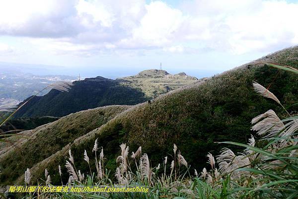 P1640811.jpg P1640811.jpg