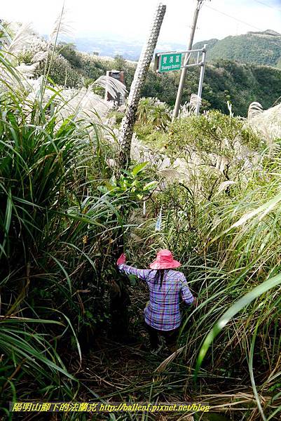 P1640813.jpg P1640813.jpg