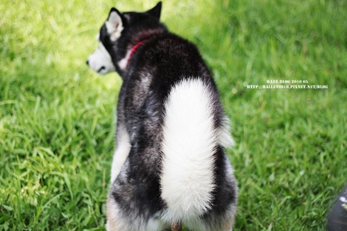 IMG_1115.JPG IMG_1115.JPG