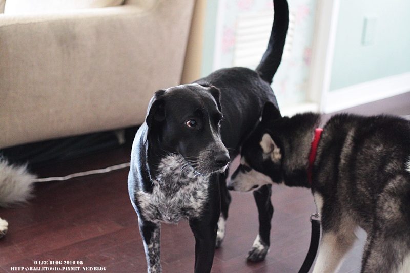 嚇到.JPG 嚇到.JPG