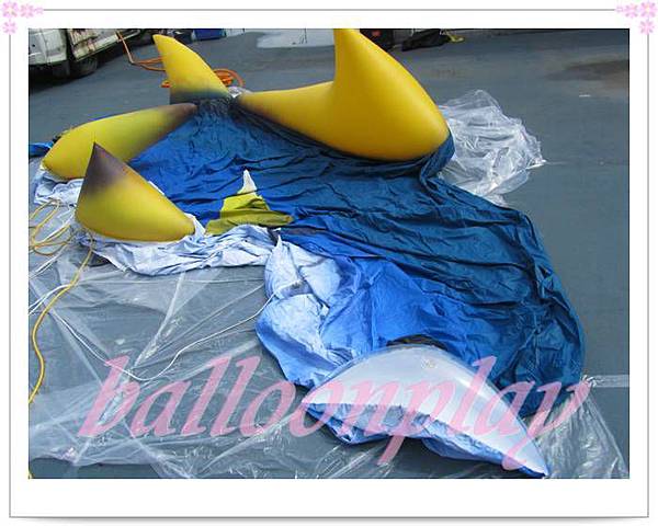 IMG_2903.jpg IMG_2903.jpg