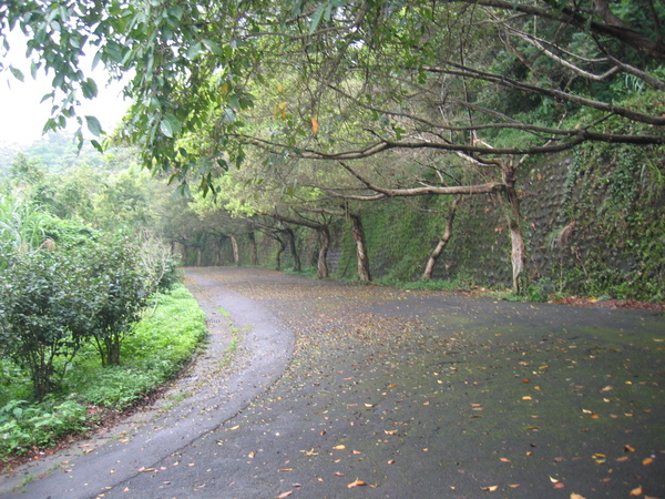 盆邊步道 003.jpg 盆邊步道 003.jpg