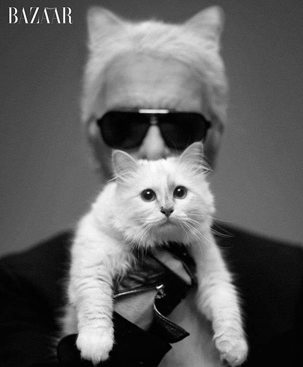 Karl and Choupette Karl and Choupette