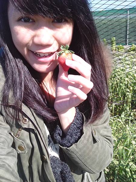 IMG_20140125_141902.jpg IMG_20140125_141902.jpg