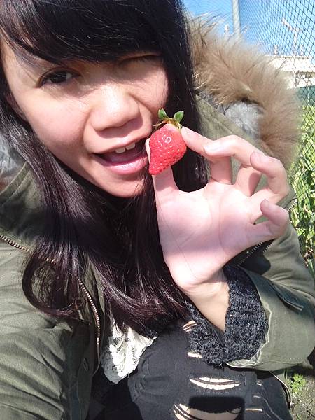 IMG_20140125_142154.jpg IMG_20140125_142154.jpg