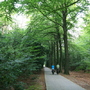 森林公園 森林公園