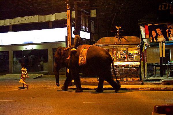 在大城市裡（例如曼谷），偶爾會看到有人帶著大象在城市裡走（圖片來源：那一年我們在曼谷－曼谷幫）