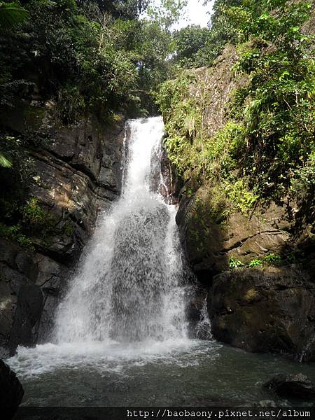 110206 rain forst b day (81).jpg