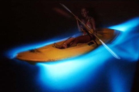 kayak2.jpg