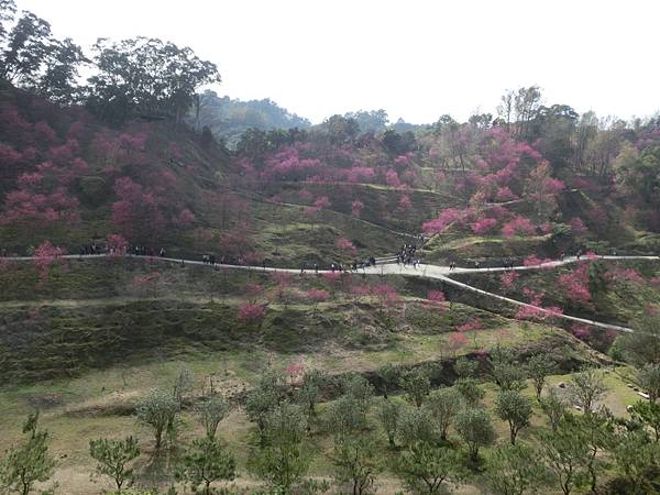 CIMG1840.JPG CIMG1840.JPG