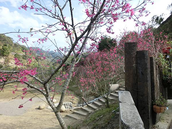 CIMG1853.JPG CIMG1853.JPG