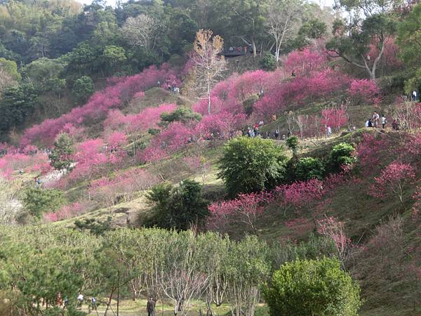 CIMG1859.JPG CIMG1859.JPG