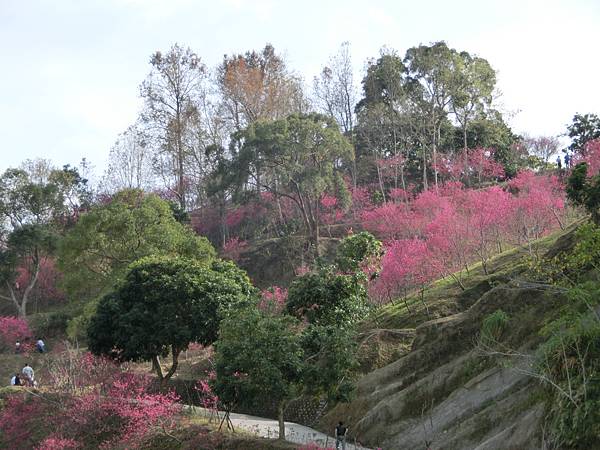 CIMG1860.JPG CIMG1860.JPG