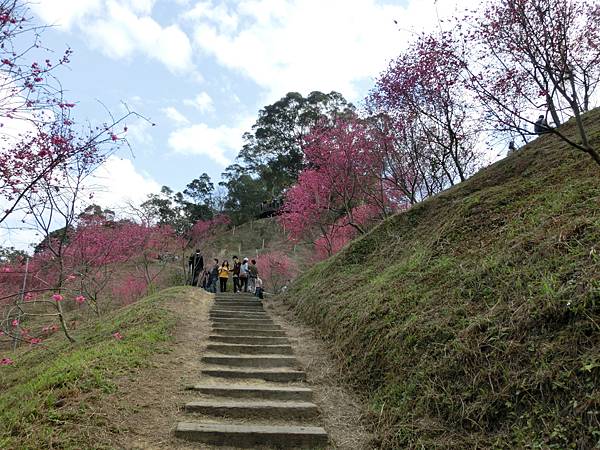 CIMG1869.JPG CIMG1869.JPG