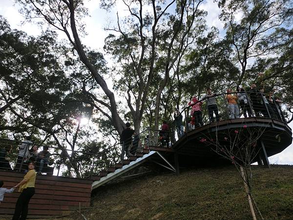 CIMG1889.JPG CIMG1889.JPG